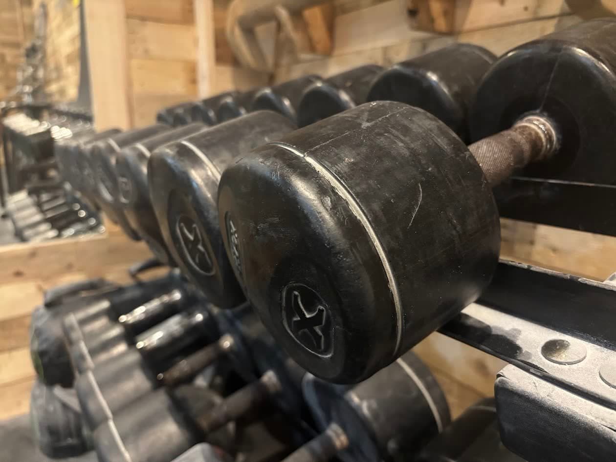 A rack of rubber-coated dumbbells in the training area