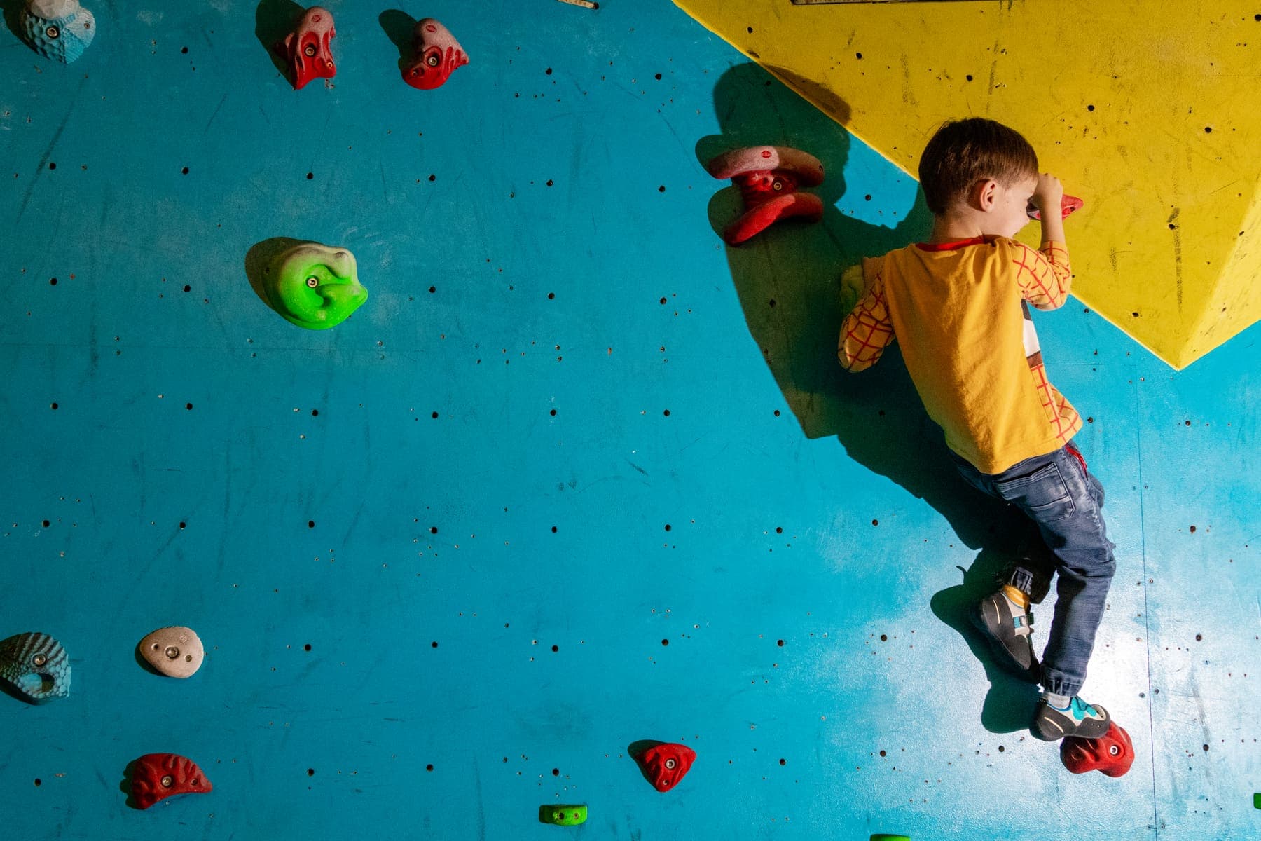 A small boy climbing the blue wall