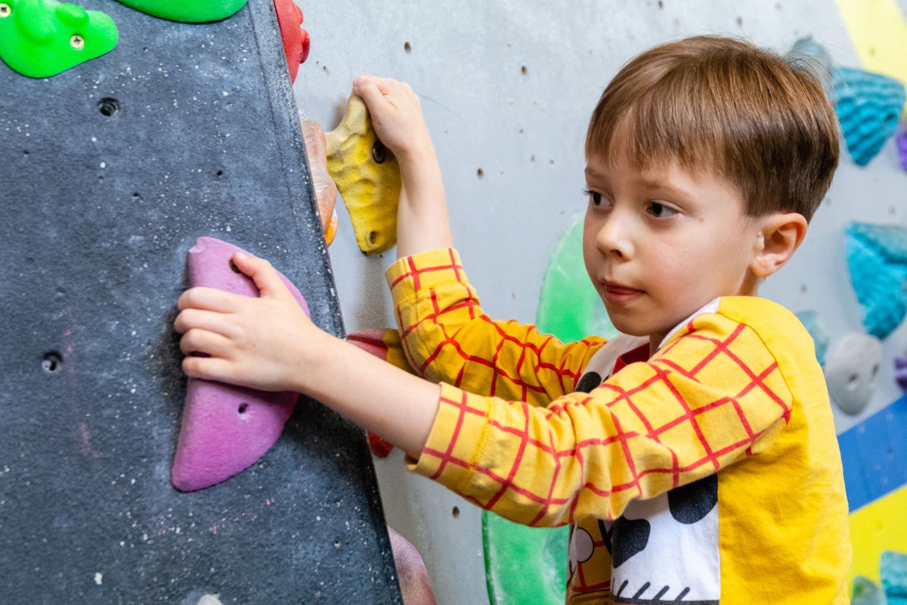 A small boy in a yellow checked shirt holding on to two big holds