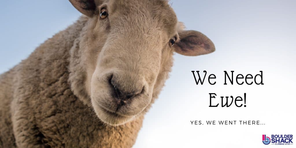 Photograph from the post: We’re hiring